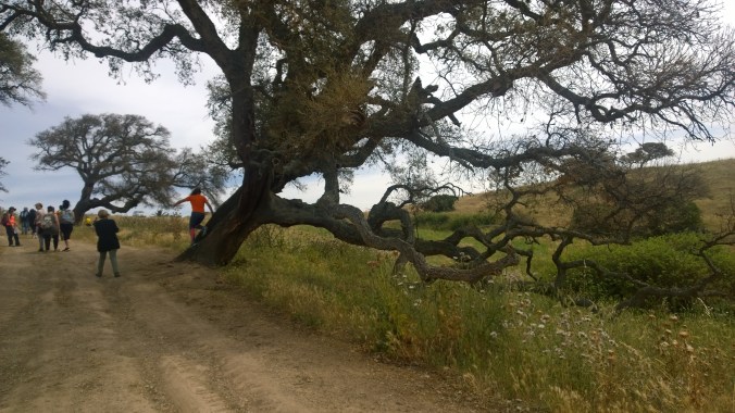 1-WP_20160528_11_34_04_Pro