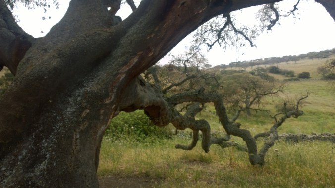 Il paesaggio intorno